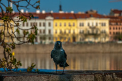 2014-04-02_17-47-25-141-PD_70_File_002