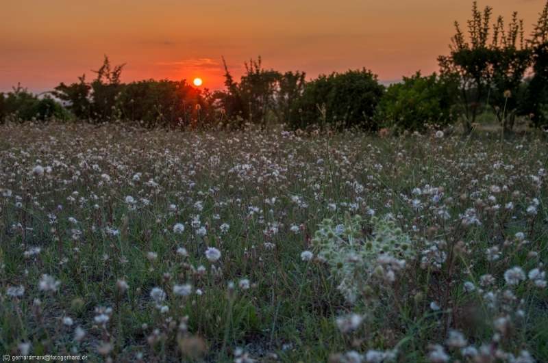1_2011_08_03-20_44_19_15