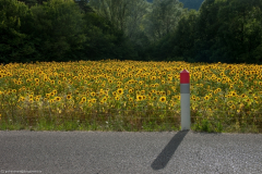 1_2011_07_26-18_25_00_10