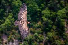 1_2012_07_24-12_20_36_21