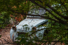 1_2013_08_03-15_17_00_77