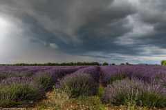 1_2014_07_20-20_33_15_40