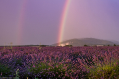 1_2014_07_20-20_56_37_41