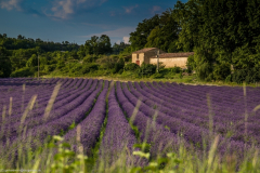 1_2014_07_24-19_25_05_43