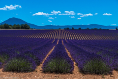 1_2018_07_06-11_57_41_66