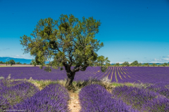 1_2018_07_06-13_41_40_68