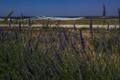 2019_06_27-11_13_38_9