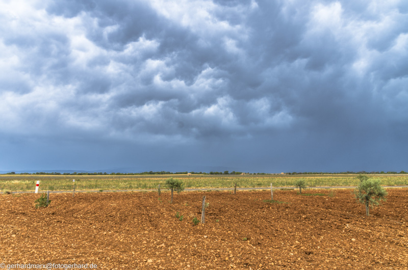 2022-07-04_14-35-21-3