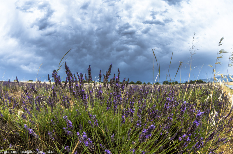 2022-07-04_14-49-40-4