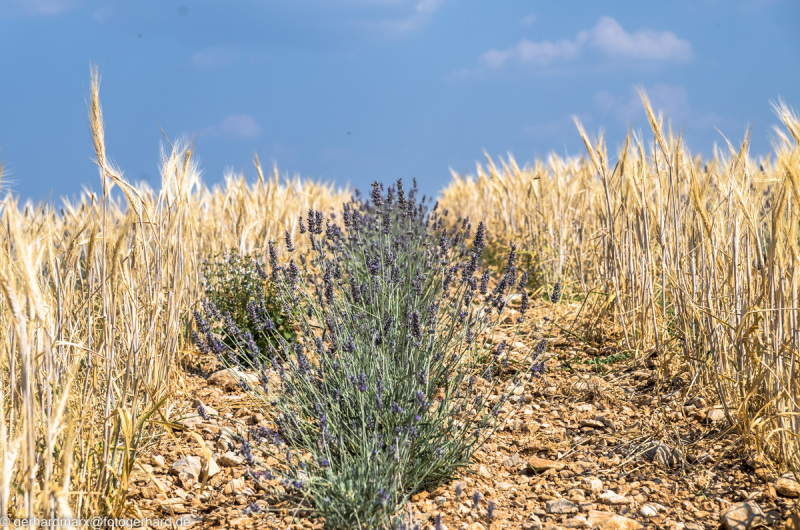 2022-07-19_11-08-29-2