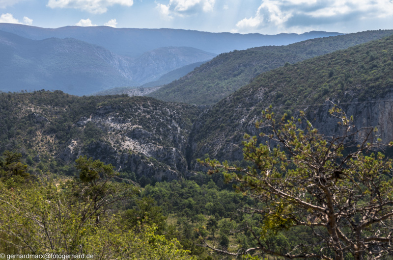 2022-07-19_11-31-01-3