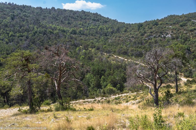 2022-07-19_12-01-48-5