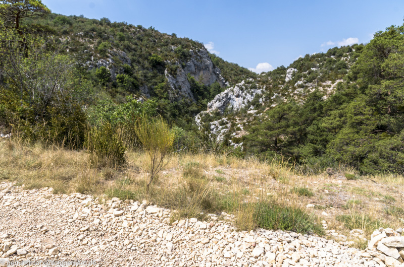 2022-07-19_12-08-34-6