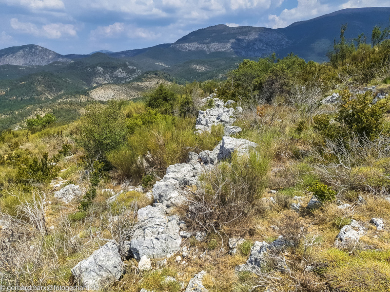 2022-07-19_13-29-09-8