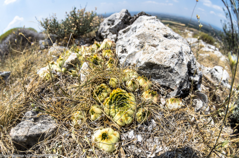 2022-07-19_13-39-17-10