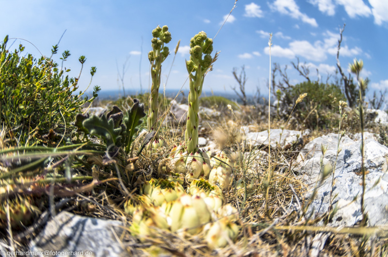 2022-07-19_13-47-20-12