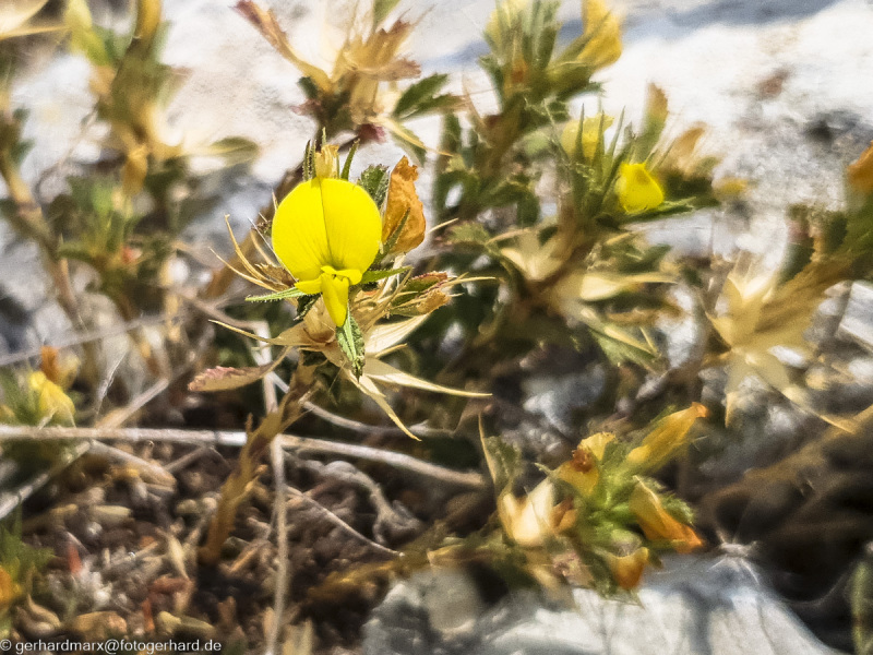 2022-07-19_13-48-19-13