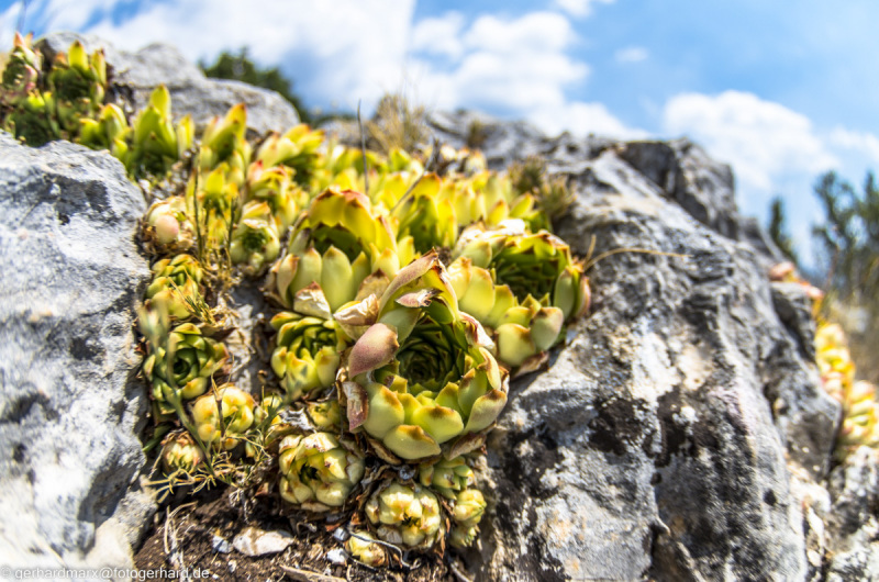 2022-07-19_13-51-20-14