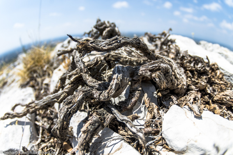 2022-07-19_13-53-46-14