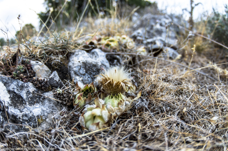 2022-07-19_13-57-12-15