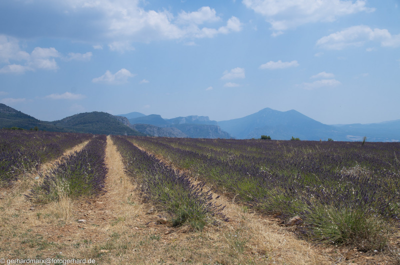 2022-07-19_14-36-59-18