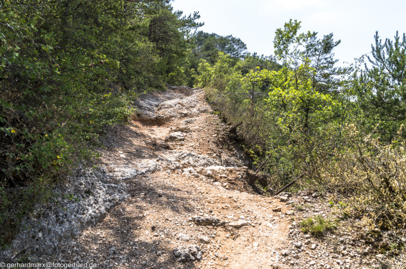 2022-07-19_15-09-09-17