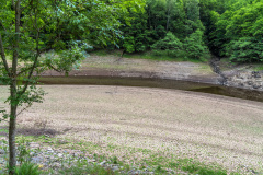 2020_06_11-12_03_07_1