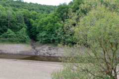 2020_06_11-12_03_41_2