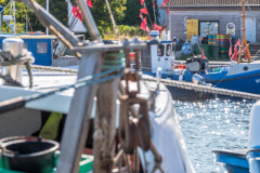 2024-09-15_15-26-10-19