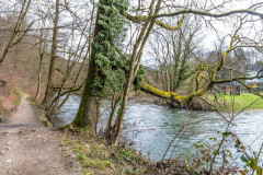 2020_03_15-12_15_46_2