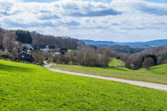 2020_03_15-13_33_13_12