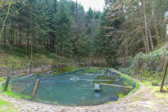 2020_03_15-14_13_16_15