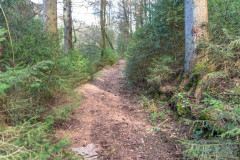 2020_03_15-14_24_57_16