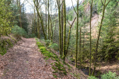 2020_03_15-14_31_20_18