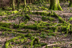 2020_03_15-14_37_34_19