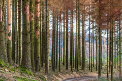 2020_03_15-15_06_59_21