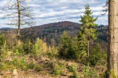 2020_03_15-15_29_15_23