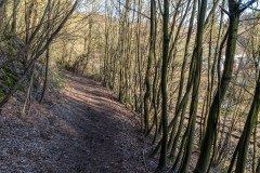 2020_03_15-16_35_18_27