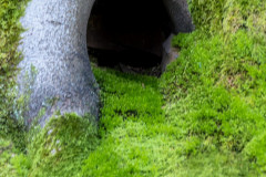 2020_03_15-16_40_47_29