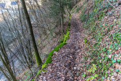 2020_03_15-16_42_47_30