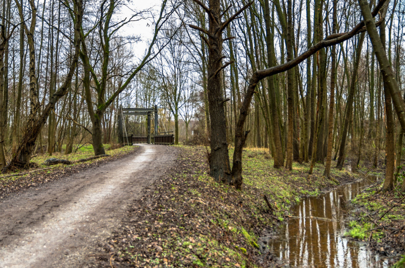 2019_01_27-12_53_16_5