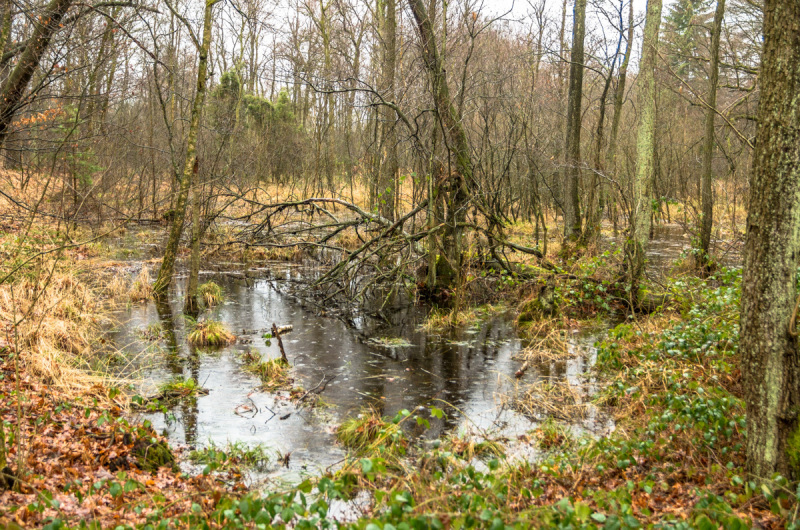 2019_01_27-15_20_27_23