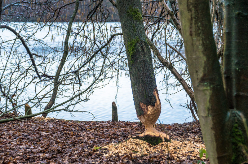 2019_01_27-16_57_38_32