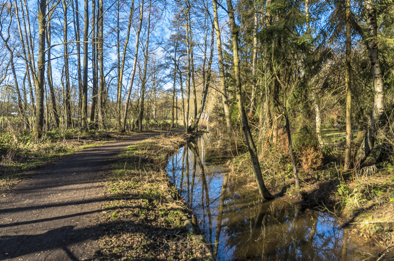 2019_02_24-11_51_28_1