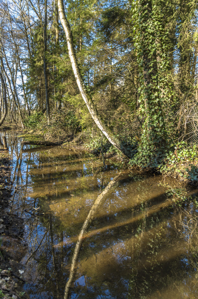 2019_02_24-11_52_18_2