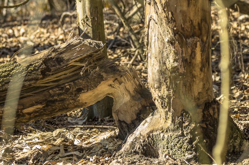 2019_02_24-12_05_47_6