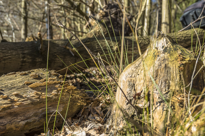 2019_02_24-12_12_52_9