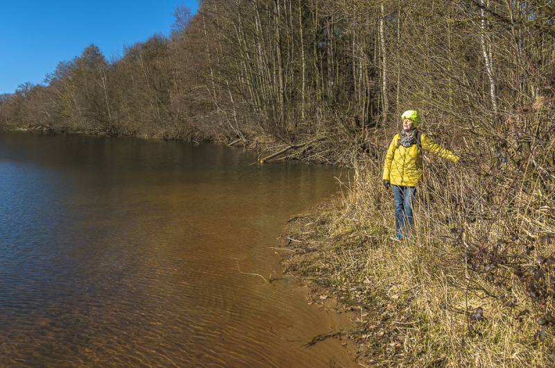 2019_02_24-12_22_25_11