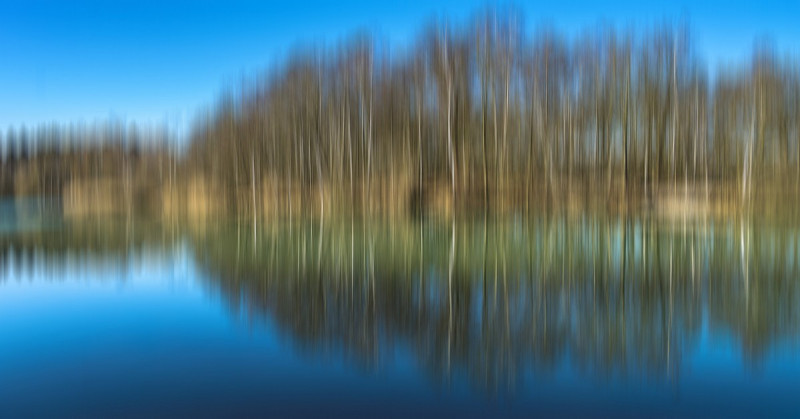 2019_02_24-12_45_49_1