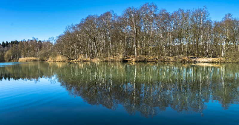 2019_02_24-12_45_49_12